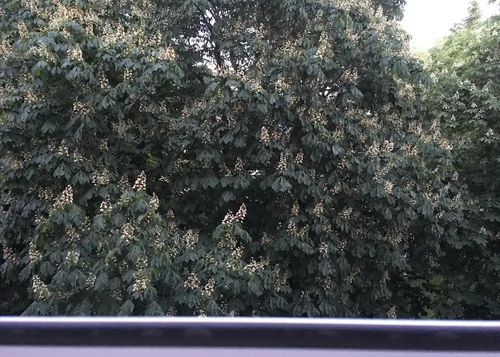 Oak Lounge Lux Dzīvoklis Riga